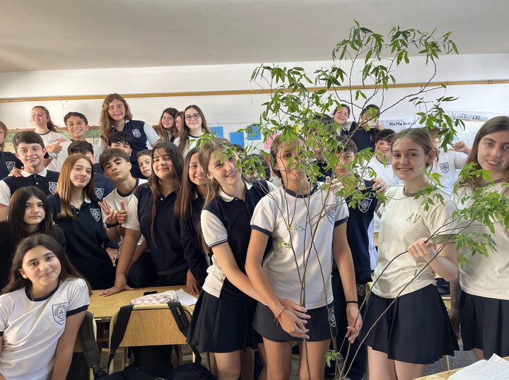 School-level workshop